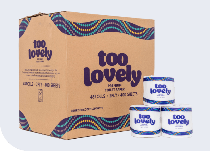 TOO LOVELY - 2 PLY 400 SHEET TOILET ROLL CARTON OF 48 Recycled